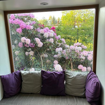 7 Bedroom Secluded Villa Close To Prague Ricany  Ngoại thất bức ảnh